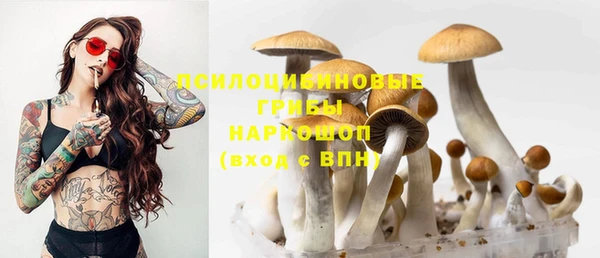 ПСИЛОЦИБИНОВЫЕ ГРИБЫ Ступино