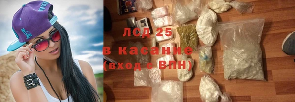 PSILOCYBIN Баксан