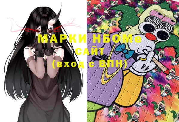 стафф Струнино