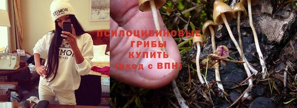 PSILOCYBIN Баксан