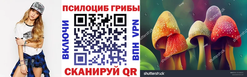 Псилоцибиновые грибы ЛСД  площадка официальный сайт  Нариманов  купить  сайты 